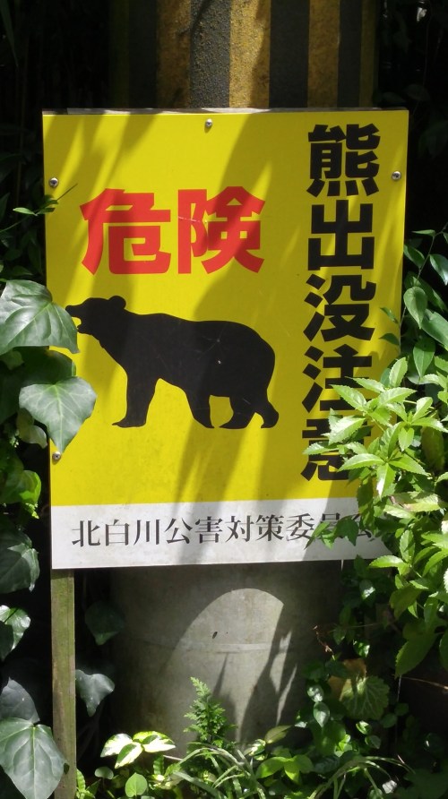 Kuma Shuppotsu Chuui